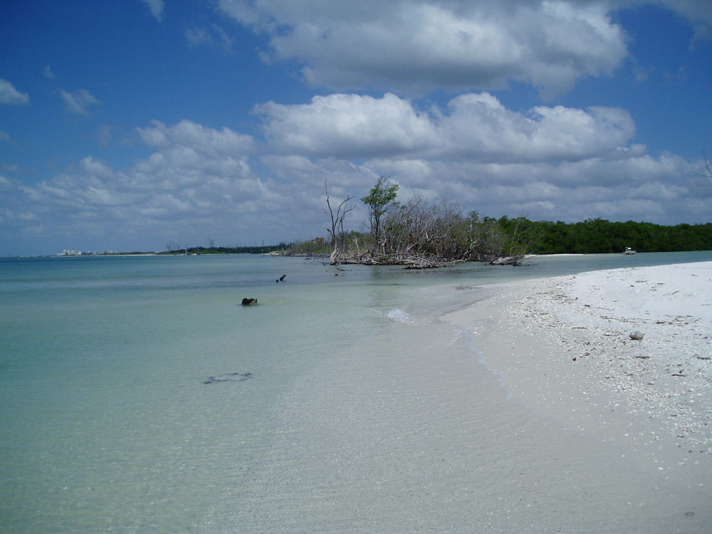 Estero aquatic preserve