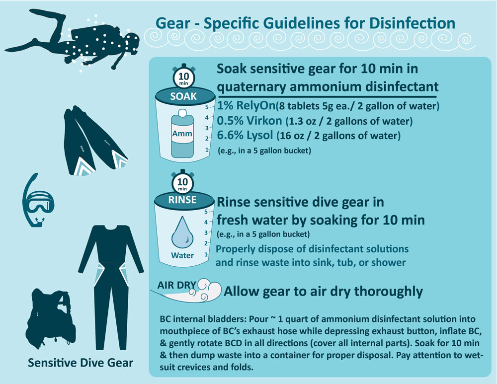 Dive gear contamination protocol for SCTLD updated 10-23-2019