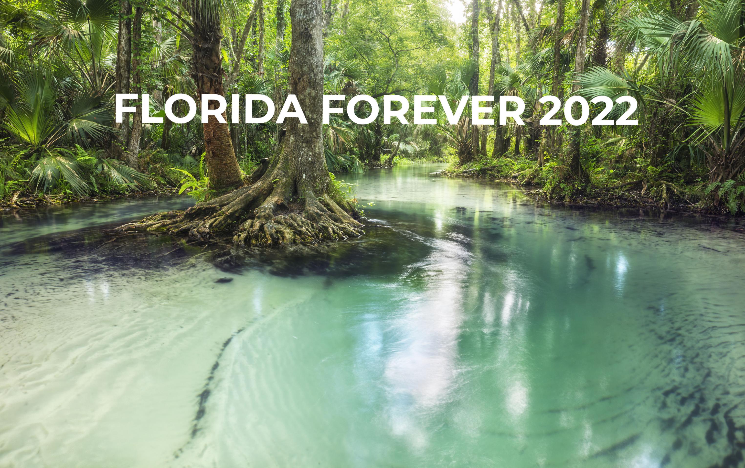 Rock Springs Run Image Florida Forever 2022