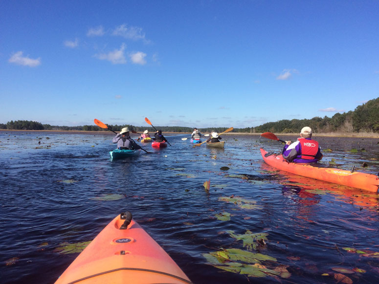 Kayakers participating on a winter group paddle on Lake Jackson Aquatic Preserve