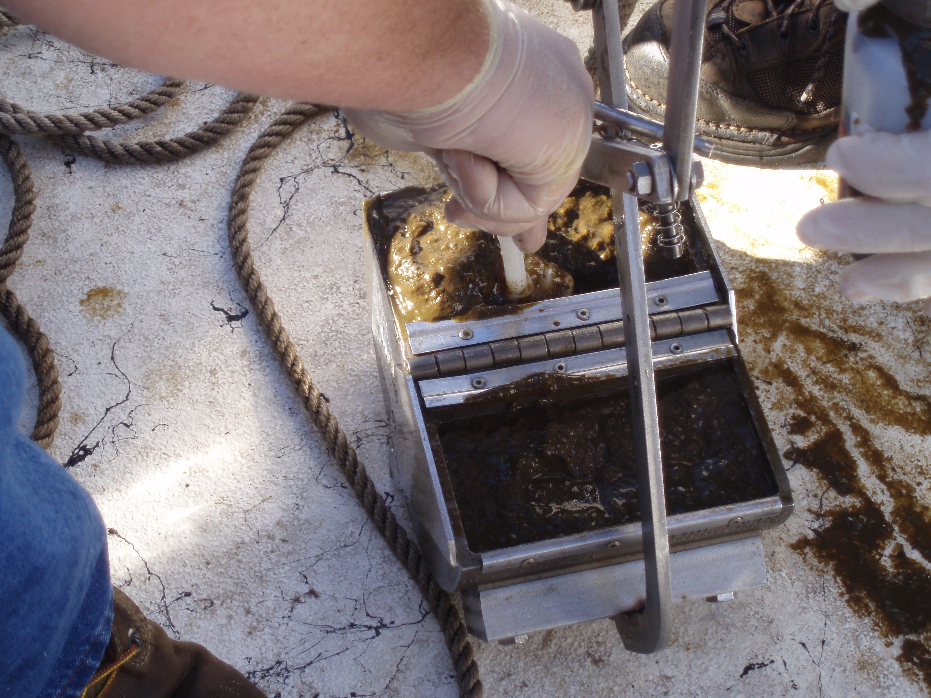 Sampling dredge filled with sediment.