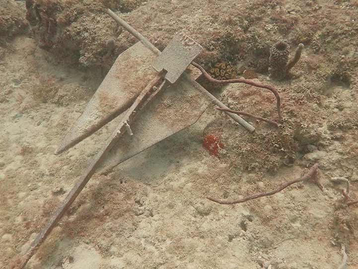 Anchor injury on hard reef substrate