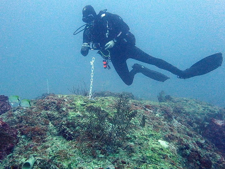 DEP diver mapping out injury site area to assess damage. Sheared barrel sponge on left.