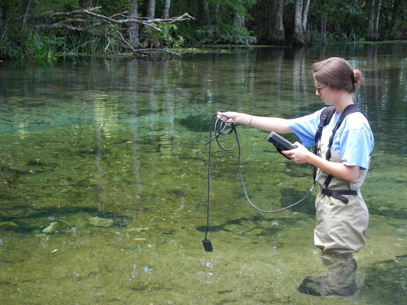 DEP staff collecting field meter measurements at the Wacissa River