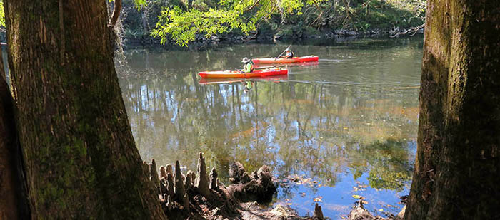 Paddlers on the Withlacoochee River North by Doug Alderson