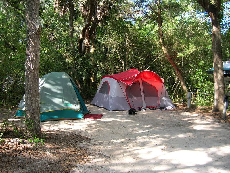 Tent camping in the woods at Anastasia State Park.