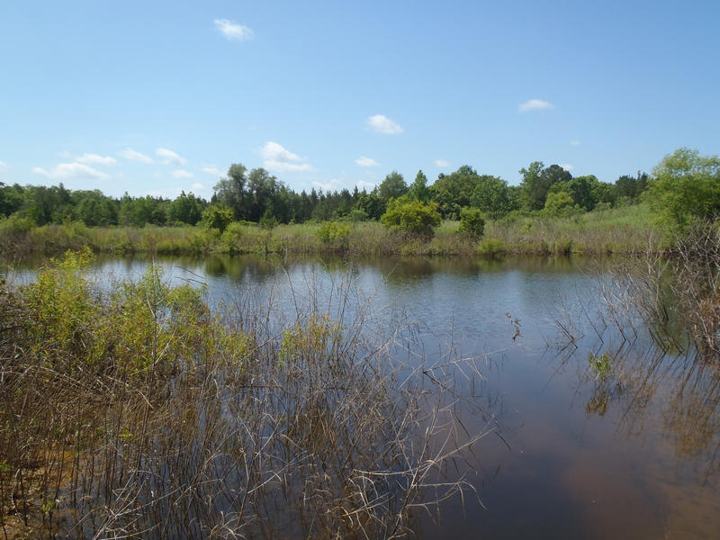 Reclaimed Fullerâs earth mining lake area at Bugger Bay Mine