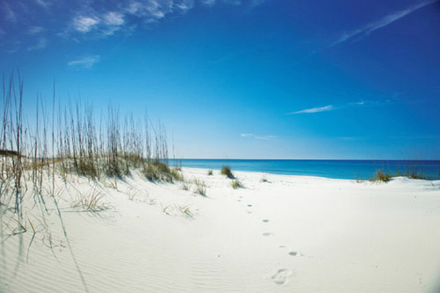 A view from the sand dunes of Shell Island at St. Andrews Aquatic Preserve