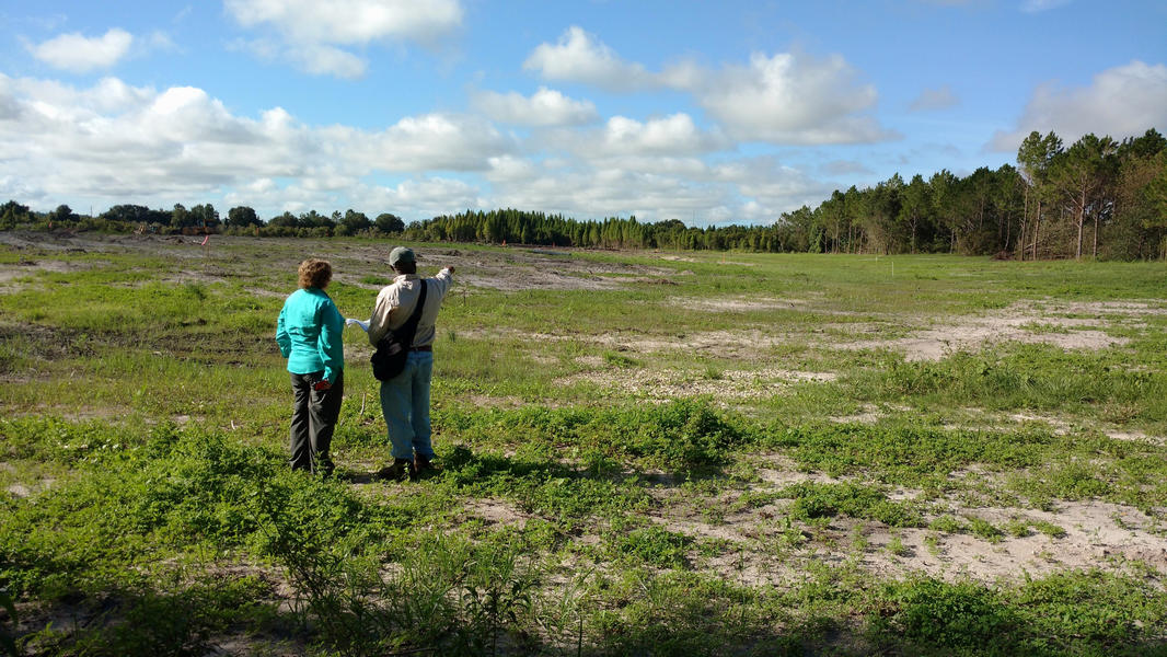 FDEP staff reviewing the progress of the Chicora restoration project 