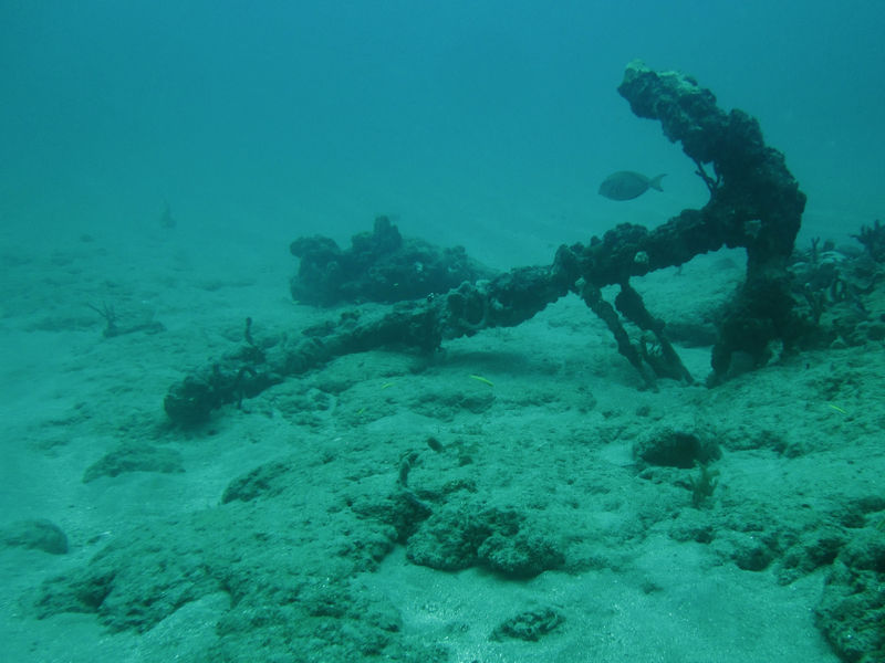 A coral reef damaged by an anchor