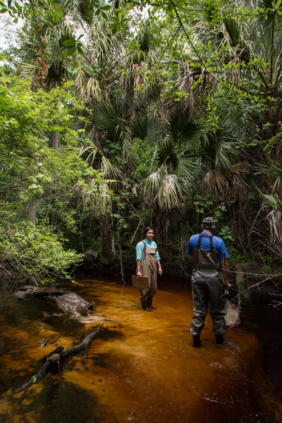 Photograph of DEAR samplers conducting a Stream Condition Index on Davenport Creek