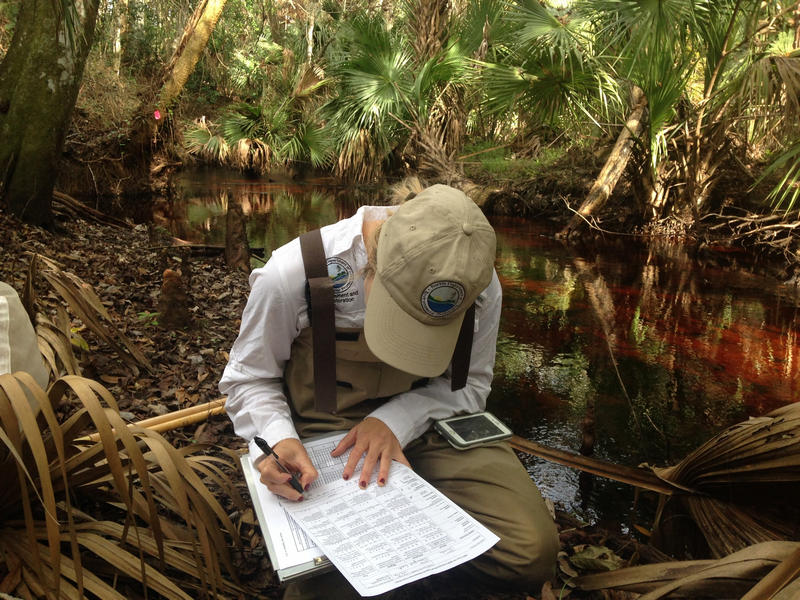 Sampler recording field data during sampling event