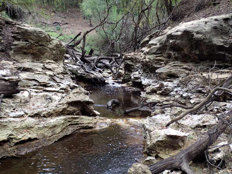 Dead River Swallet, one of the geological features of the Jennings Bluff T