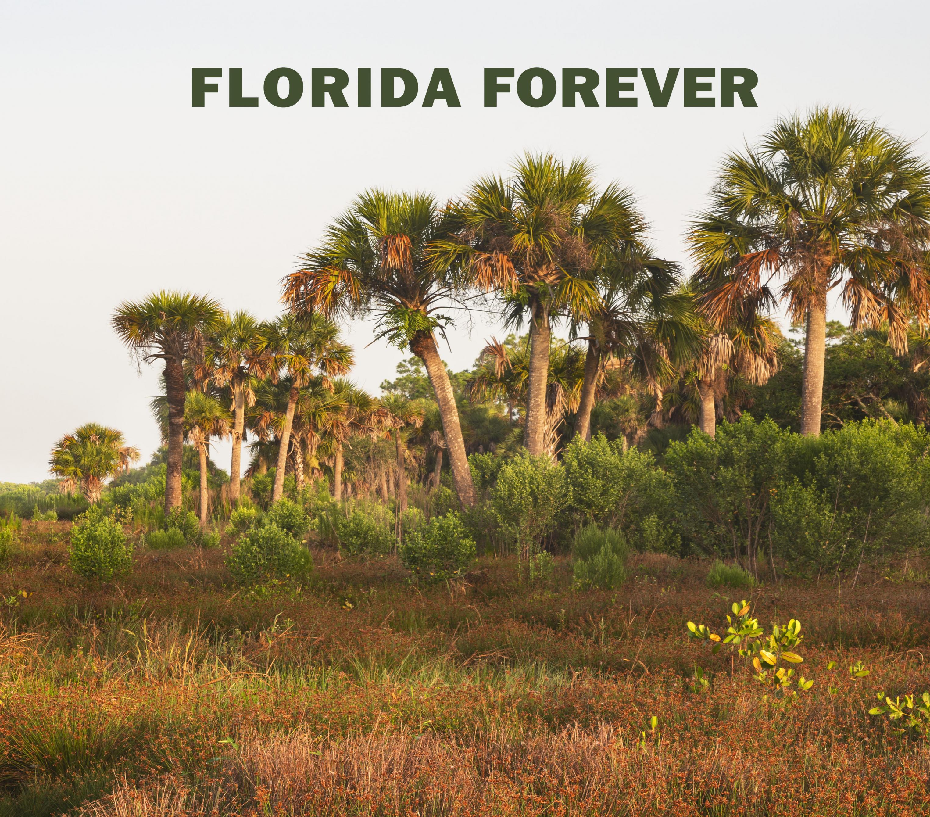 Image of Charlotte Harbor Preserve State Park by Paul Marcellini