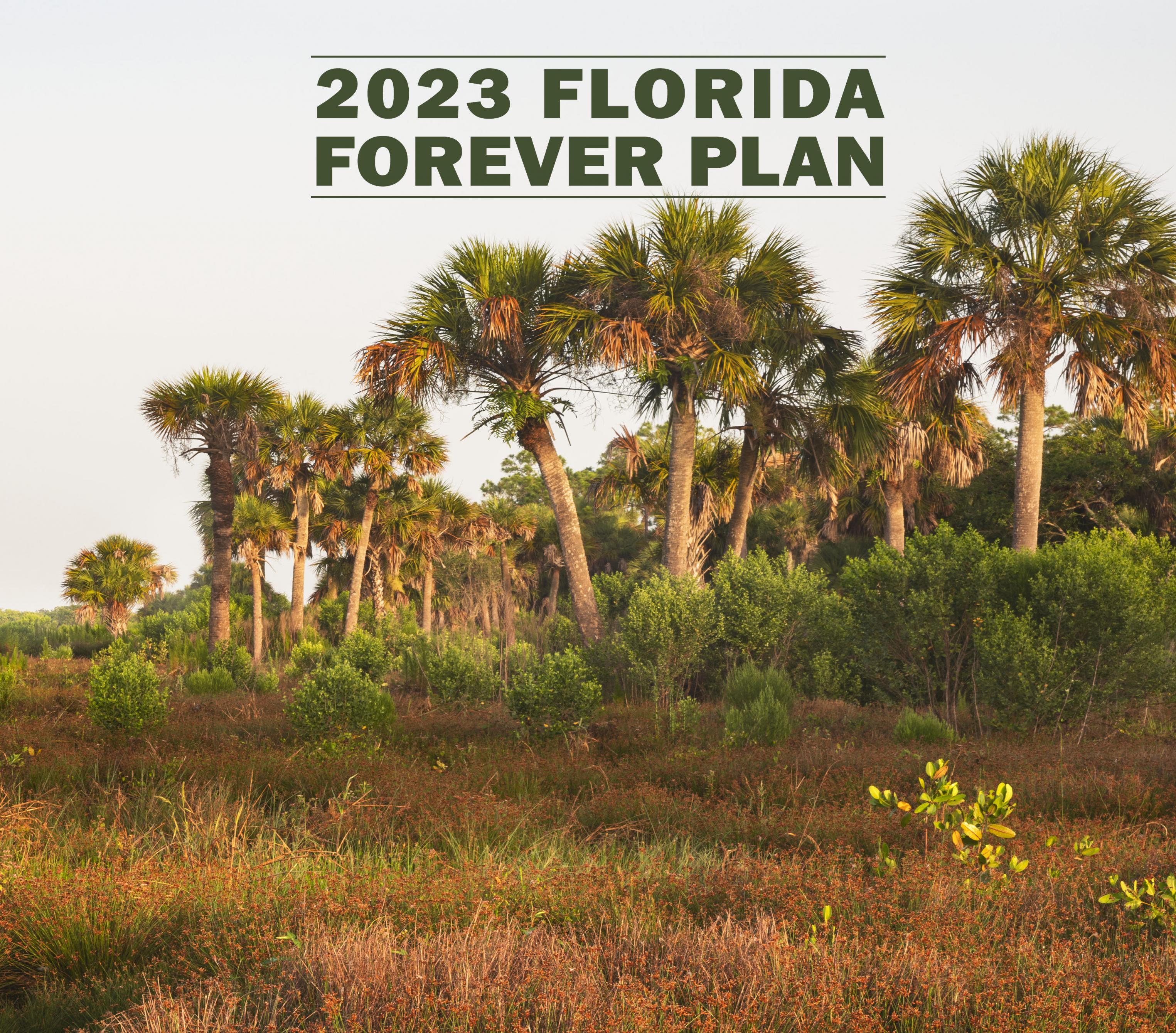 2023 Florida Forever Plan | Florida Department of Environmental Protection