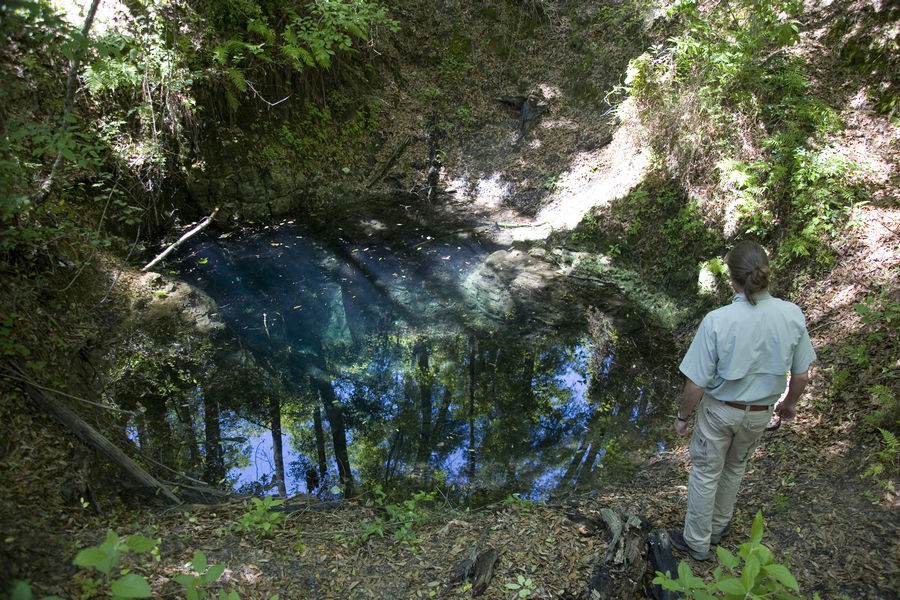 Karst Window in Leon County, 2016