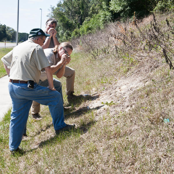 OFMS104 Field Work 2012