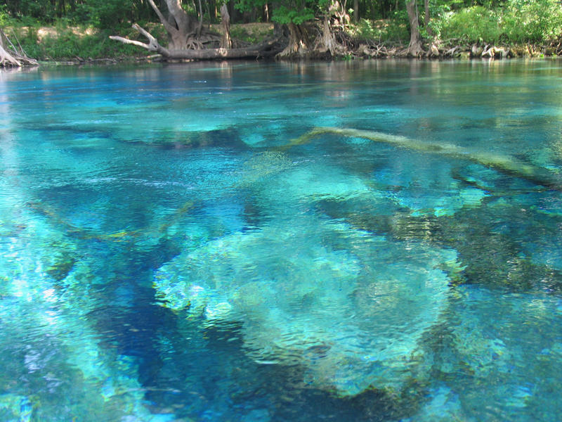 Blue water at Cypress Springs along Holmes Creek