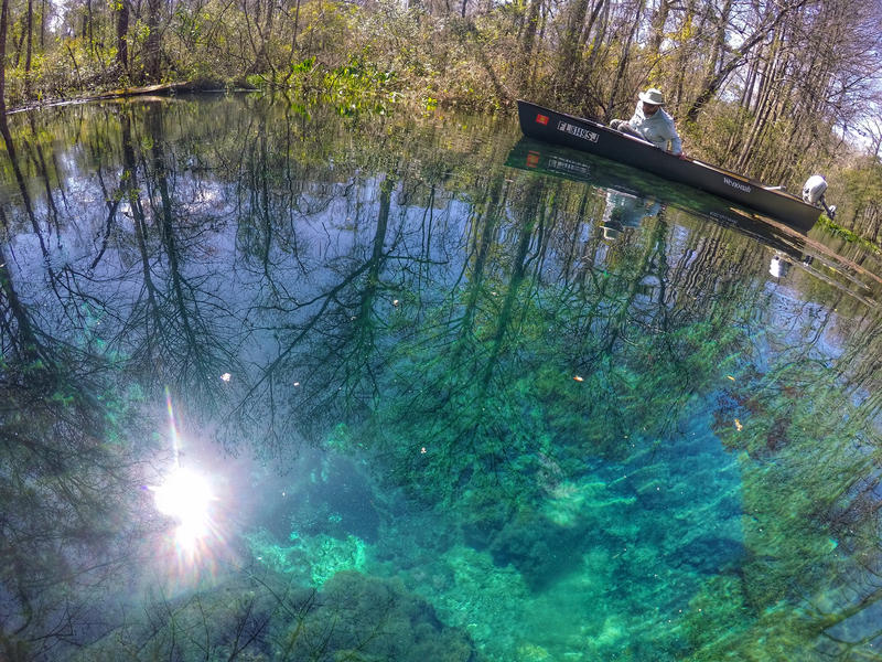 DEP Monitoring Staff checking out Alligator Springs, one of the head springs of Gum Slough