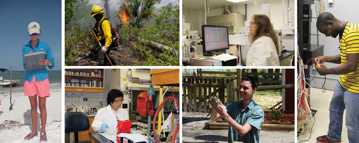 Various images showing career opportunities within the Florida Department of Environmental Protection