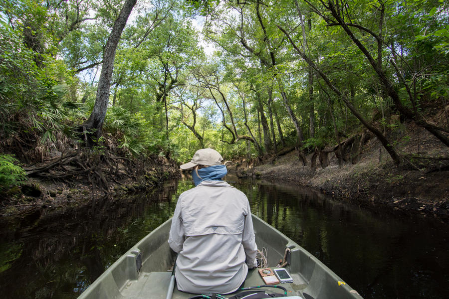 DEP Sampler surveying Little Withlacoochee by Gheenu