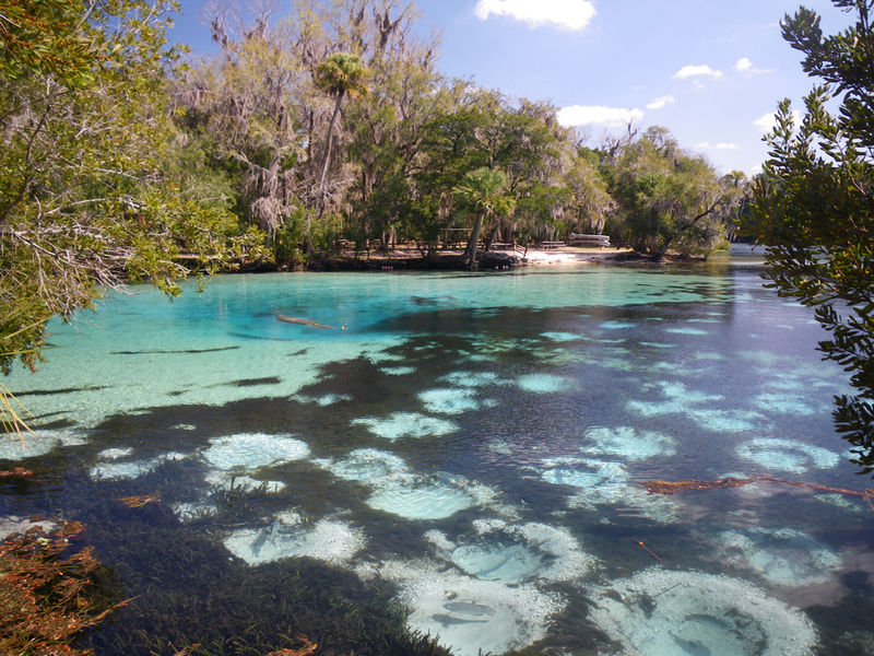 Image of Silver Glen Spring 