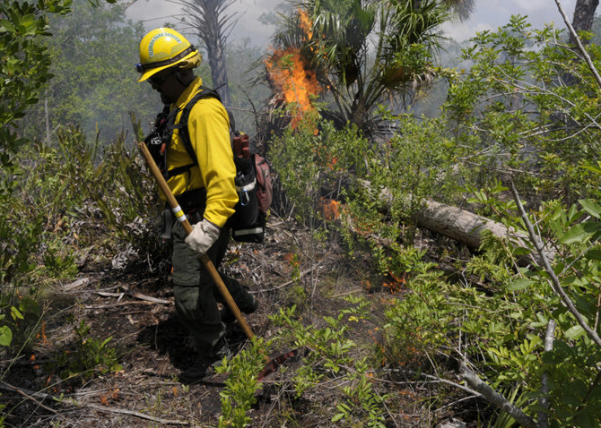 Fire technician managing a prescribed fire