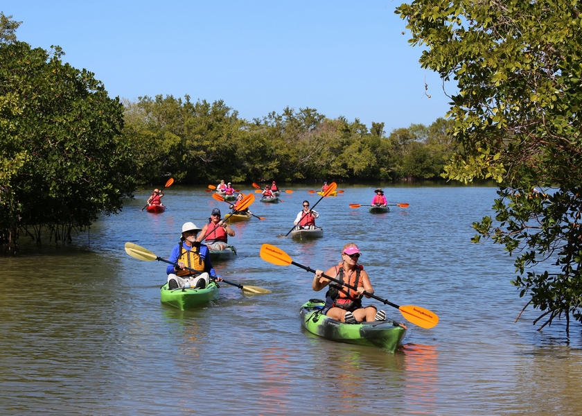 Ecotour in Rookery Bay