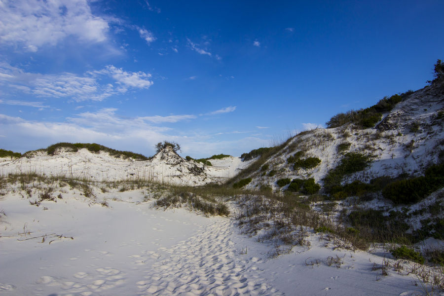 A trail on a dune at T.H. Stone Memorial St. Joseph Peninsula