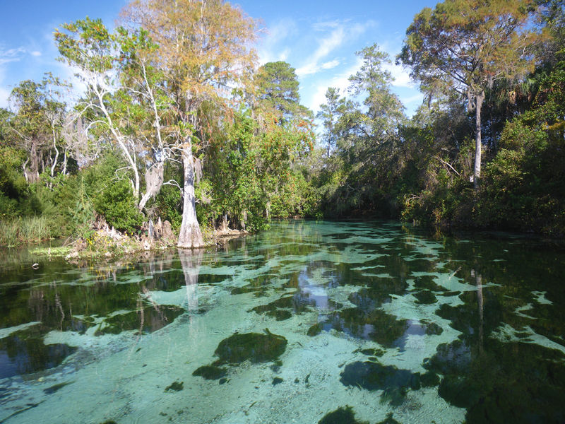 Weeki Wachee River downstream from Weeki Wachee Springs State Park