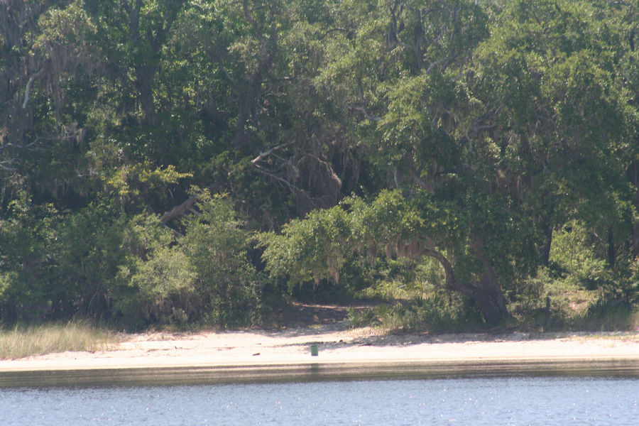 A sandy shore in the Yellow River Marsh Aquatic Preserve 