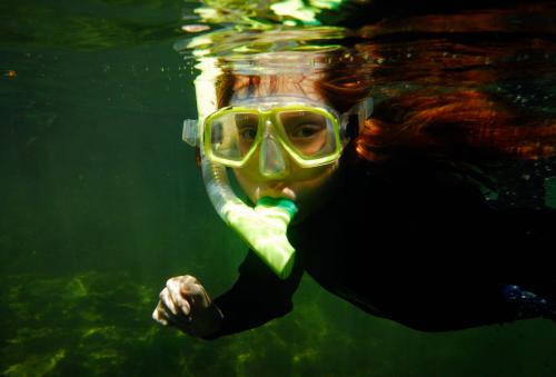 Blue Spring State Park - Person snorkeling in crystal clear water