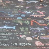 Chalk Drawing of the Geologic Time Scale at Open House 2016