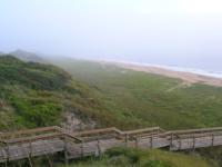 A view overlooking the dunes and beach boardwalk