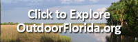 Click to Explore OutdoorFlorida.org