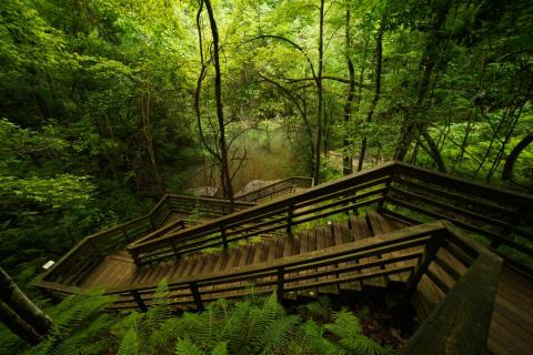 View from the top of the stairs at Devil's Milhopper Geological State Park