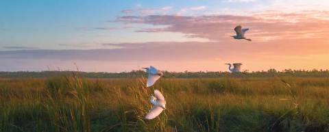 DEP Receives Federal Authority for Wetlands Program