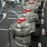 Florida Geological Survey - Geochemistry Lab Study, 2000