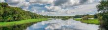 wetland with water, tree line and clouds