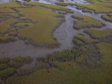 An aerial view of a salt marsh at Guana Tolomato Matanzas National Estuarine Research Reserve