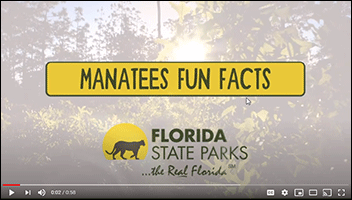 kid zone video manatee fun facts