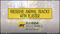 Kid Zone - video Preserve Animal Tracks